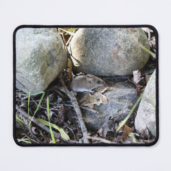 Item preview, Field Mouse designed and sold by CJGrimes.