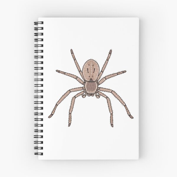 Item preview, Isopeda Woodwardi huntsman spider designed and sold by Artbychb.