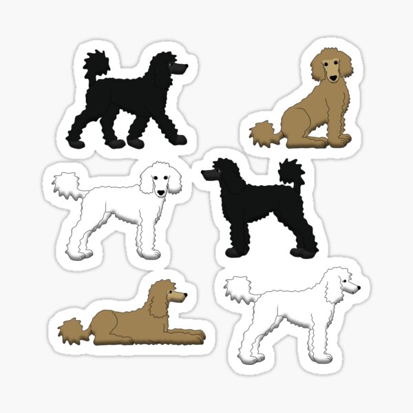 poodle Sticker