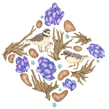 Artwork thumbnail, Shoreline Sandpiper Tile by smoothfoxill