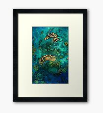 Koi Pond Framed Print