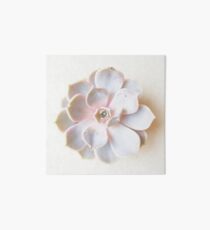 Pink Succulent II Art Board
