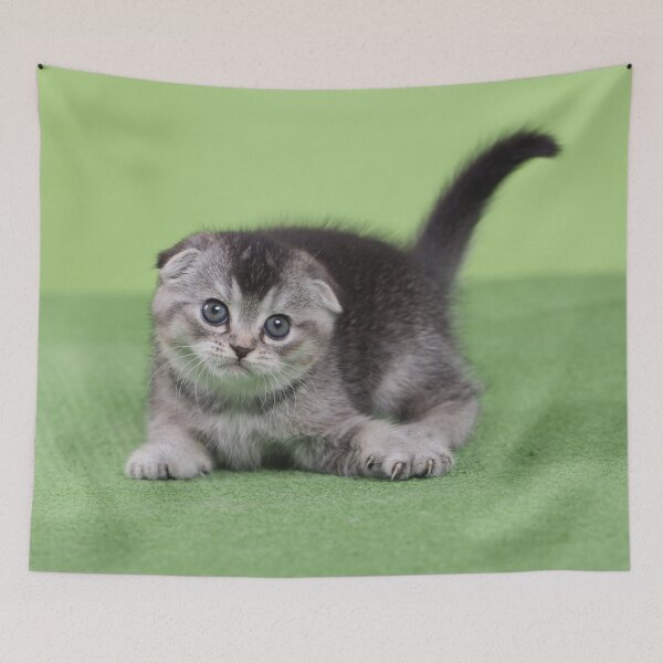 Item preview, Adorable Dorthy II designed and sold by HiddenRockRanch.