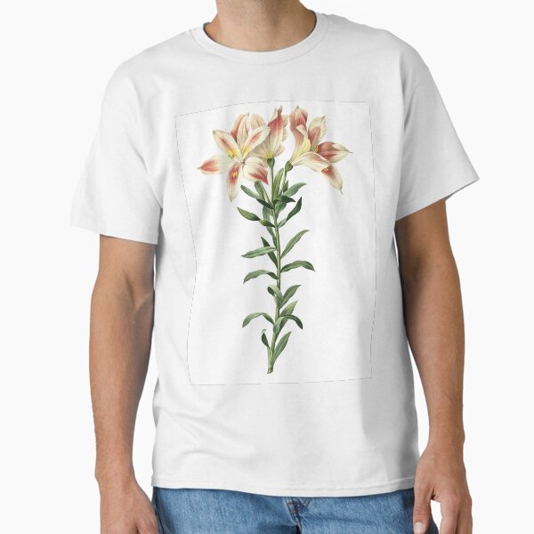 Item preview, Beautiful Botanical Illustration of Peruvian Lilly designed and sold by HumanlineImages.