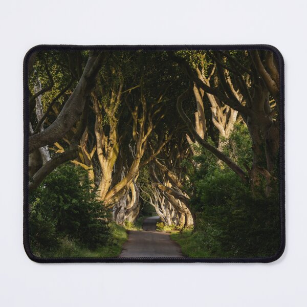 Item preview, The Dark Hedges 3 designed and sold by DiFigianoPhoto.