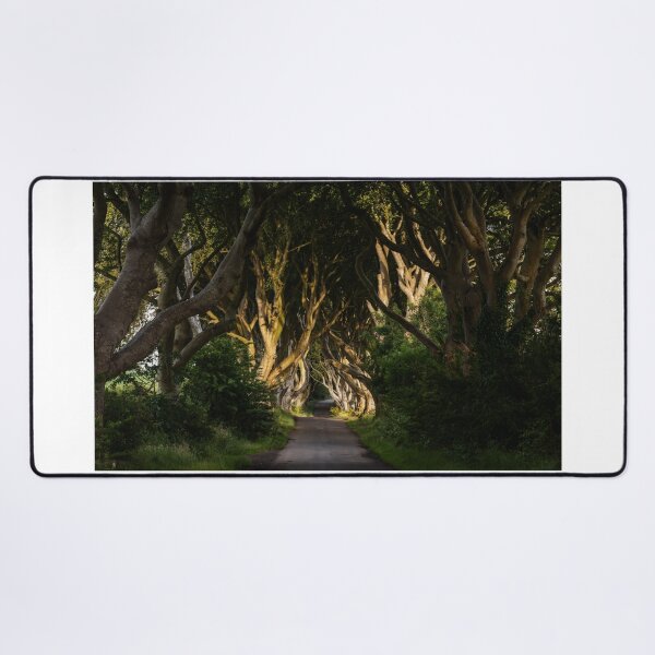 Item preview, The Dark Hedges 3 designed and sold by DiFigianoPhoto.