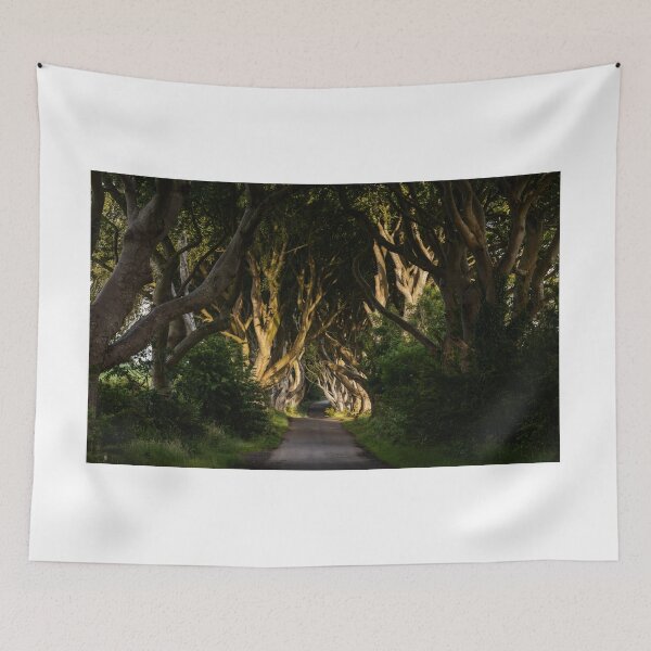 Item preview, The Dark Hedges 3 designed and sold by DiFigianoPhoto.