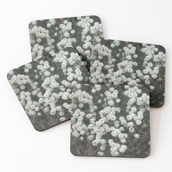 Item preview, Melaleuca flowers designed and sold by greentiger1.