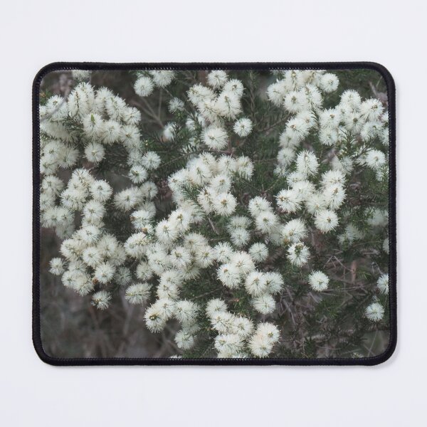 Item preview, Melaleuca flowers designed and sold by greentiger1.