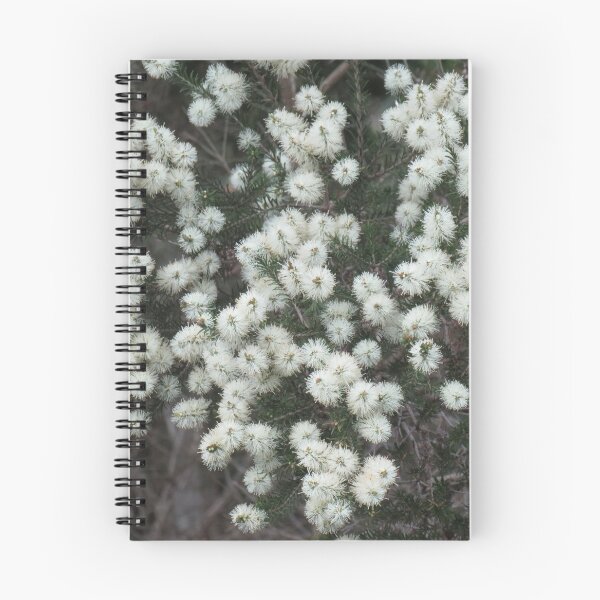 Item preview, Melaleuca flowers designed and sold by greentiger1.