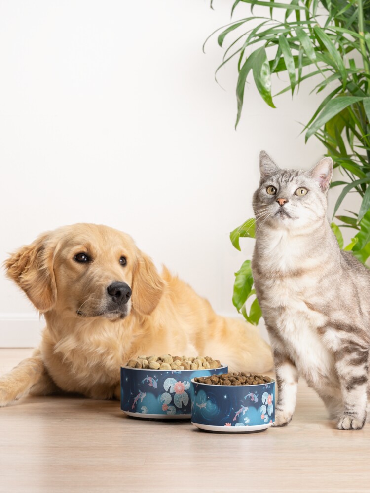 Alternate view of Koi pond - night Pet Bowl