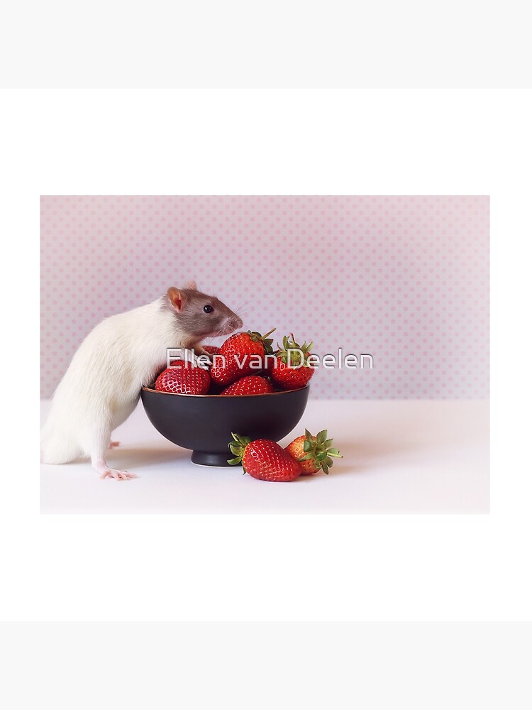 Snoozy loves strawberries by Ellen