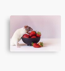 Snoozy loves strawberries Metal Print