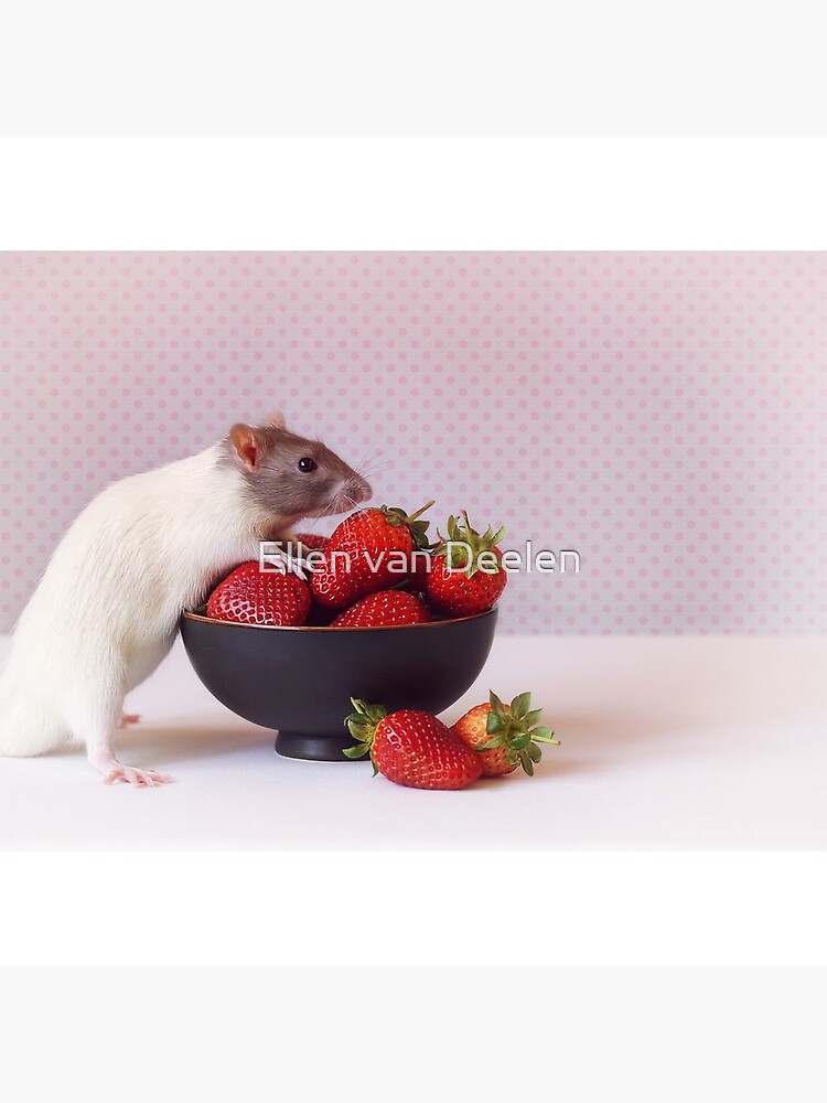 Snoozy loves strawberries by Ellen