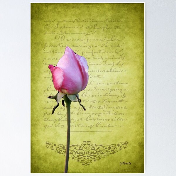 Item preview, Bouton de Rose designed and sold by Gilberte.