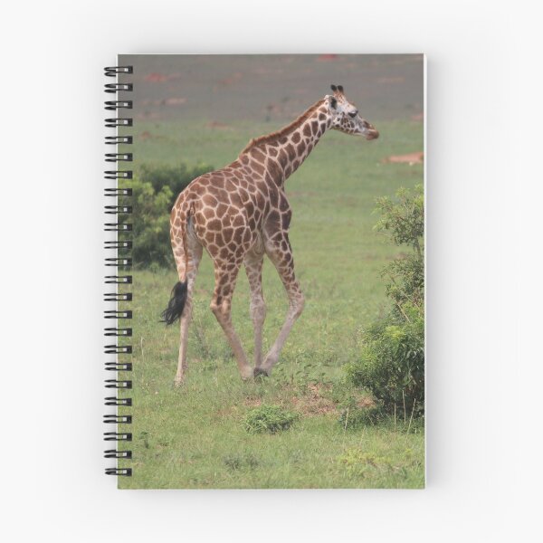 Item preview, Uganda Murchison Falls National Park Giraffe Trees Trees Grassland Meadow Bush designed and sold by eickys.