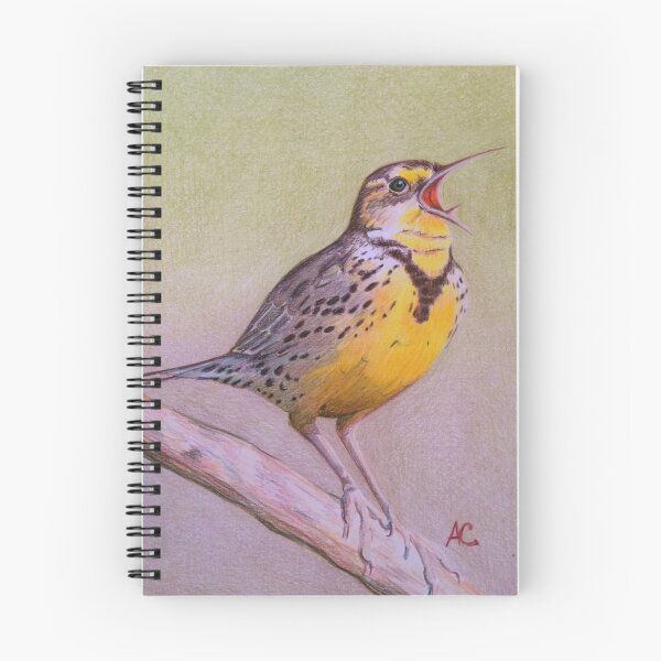 Item preview, Meadowlark designed and sold by WyoClements.