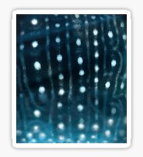 Walhai-Haut Sticker