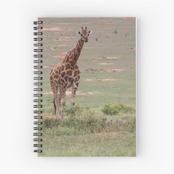Item preview, Uganda Murchison Falls National Park Giraffe Bush Grassland Meadow designed and sold by eickys.
