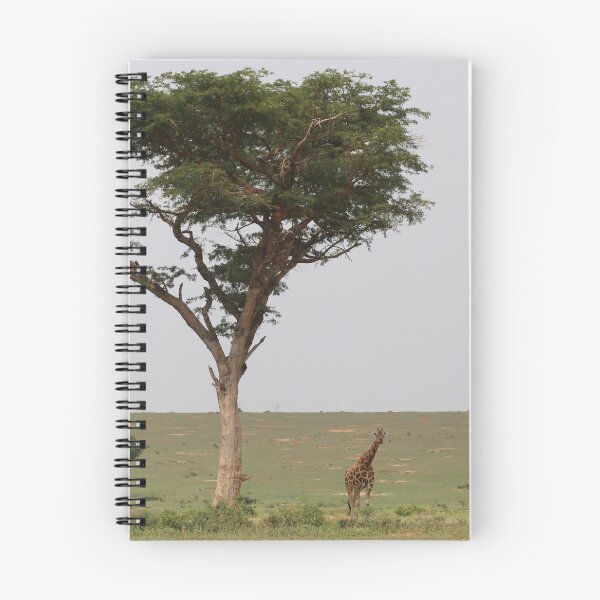 Item preview, Uganda Murchison Falls National Park Giraffe Trees Trees Grassland Meadow designed and sold by eickys.