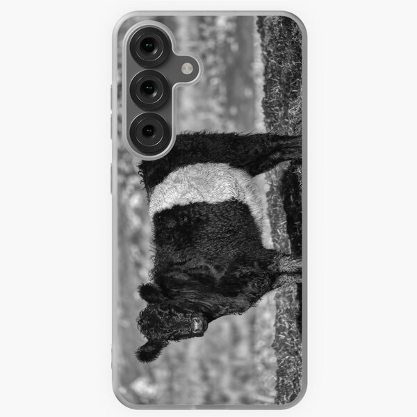 Item preview, Belted Galloway Calf designed and sold by derekbeattie.
