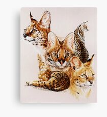 Adroit Canvas Print