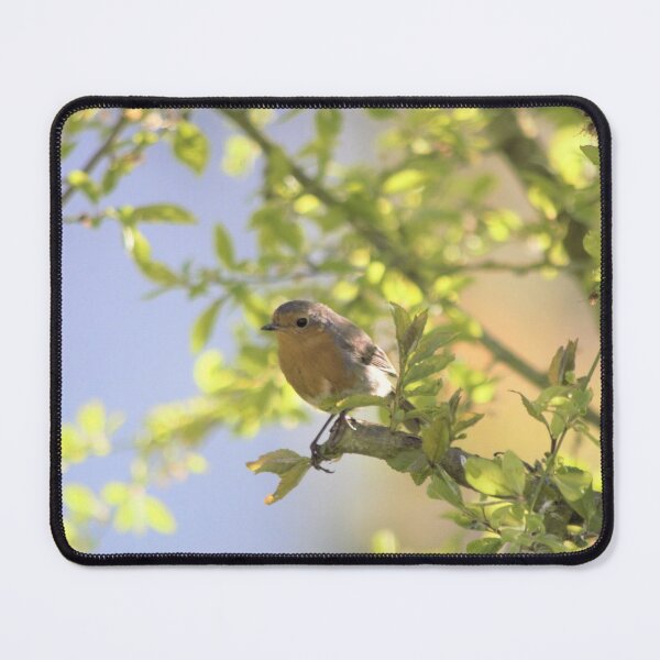 Item preview, Sunshine Robin designed and sold by Jennybphoto.