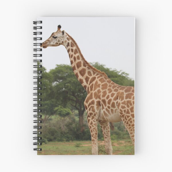 Item preview, Uganda Murchison Falls National Park Giraffe Bush Trees Trees Grassland Meadow designed and sold by eickys.
