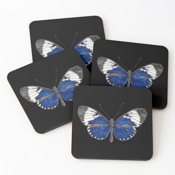 Item preview, Heliconius cydno galanthus (Costa Rica) - blue butterfly - dark version designed and sold by PetitMartin.
