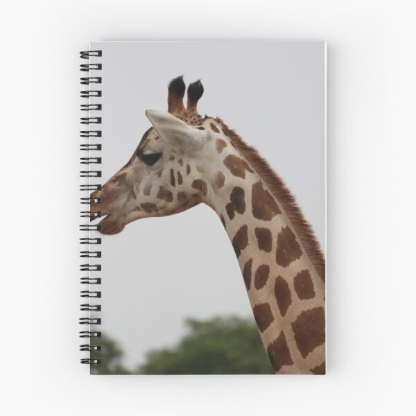 Item preview, Uganda Murchison Falls National Park Giraffe Bush Grassland Meadow designed and sold by eickys.