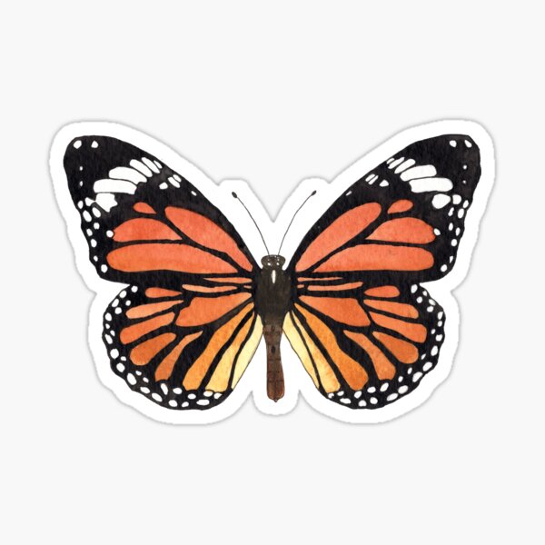 watercolour painting common tiger butterfly Sticker
