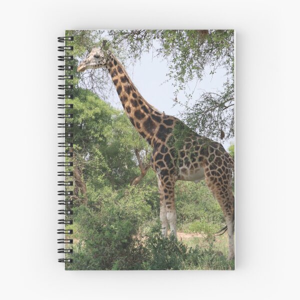 Item preview, Uganda Murchison Falls National Park Giraffe Trees Trees Bush Grassland Meadow designed and sold by eickys.