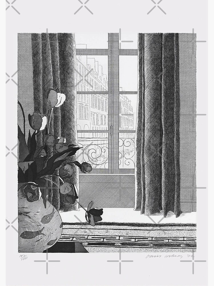 "David Hockney France Window 1972 " Poster for Sale by schmelera ...