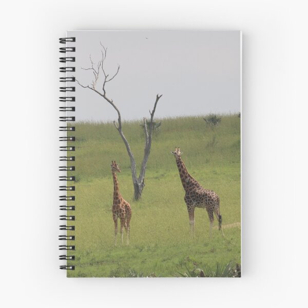 Item preview, Uganda Murchison Falls National Park Giraffe Trees Trees Grassland Meadow designed and sold by eickys.