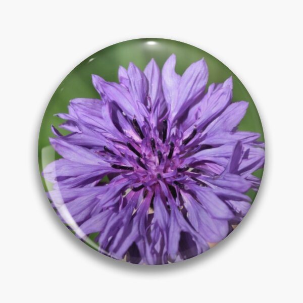 Item preview, Purple bloom designed and sold by Jennybphoto.