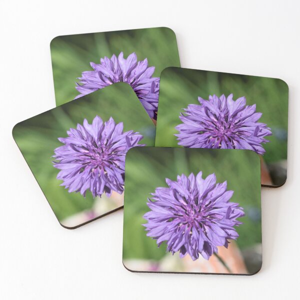 Item preview, Purple bloom designed and sold by Jennybphoto.