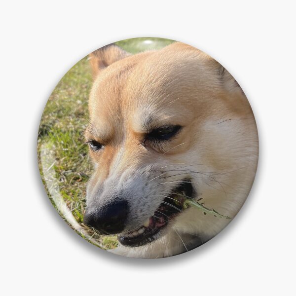 Item preview, A hungry corgi designed and sold by willy92.