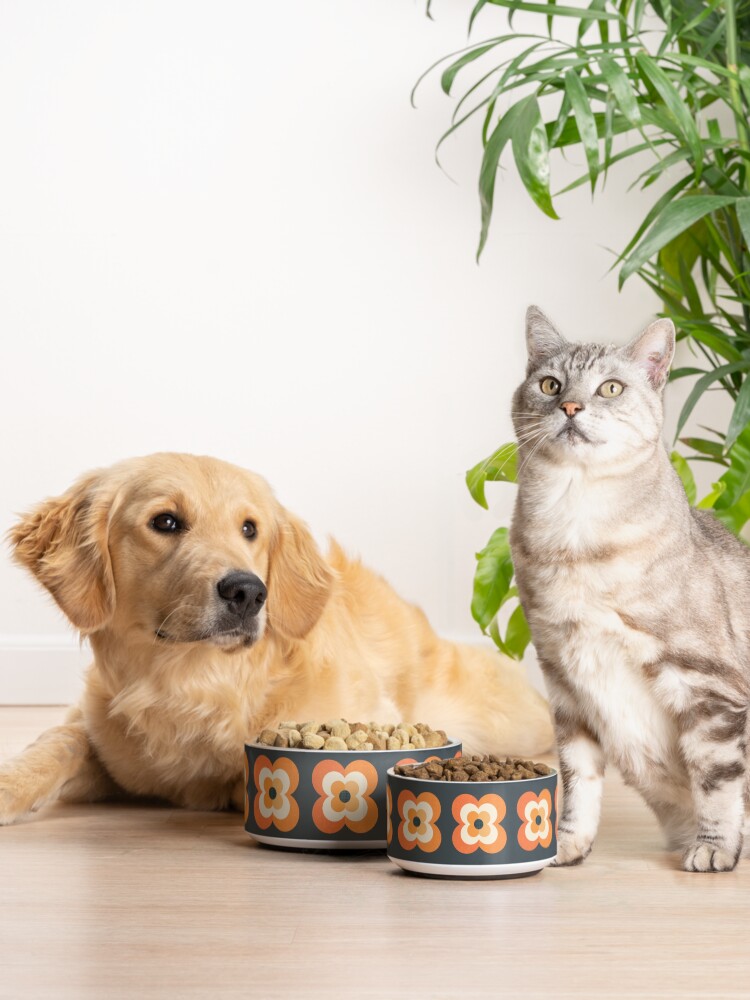 Alternate view of Retro Flowers - Orange and Charcoal Pet Bowl