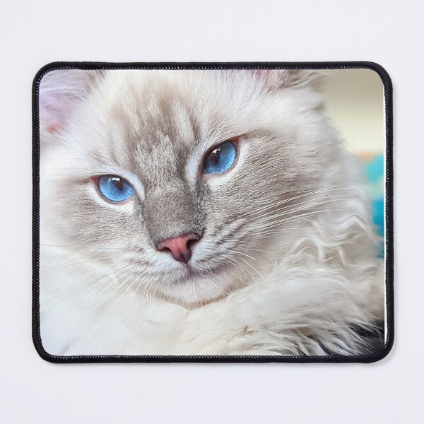 Item preview, Lynx ragdoll kitten designed and sold by Fluffycat2020.