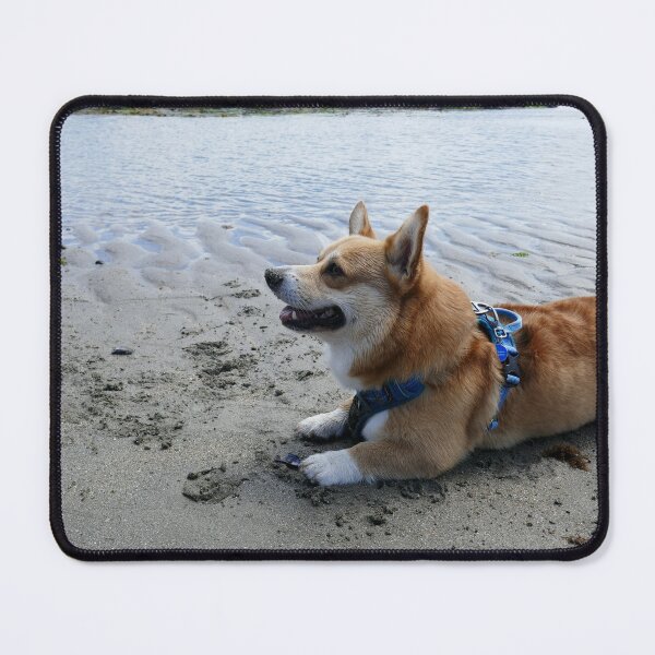 Item preview, A corgi at the beach designed and sold by willy92.
