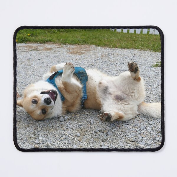 Item preview, Corgi losing it designed and sold by willy92.