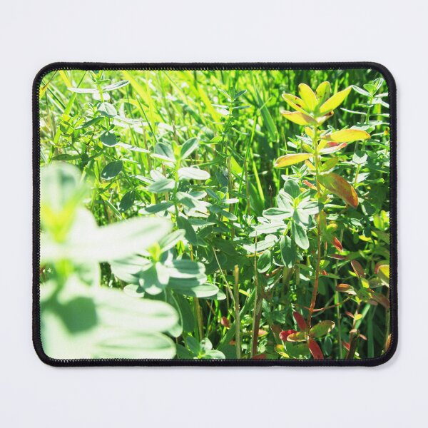 Item preview, nature leaves photo | green leaves photography designed and sold by lausn.