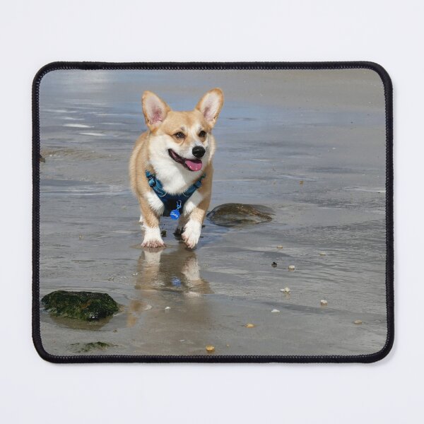 Item preview, Hapiness in one picture designed and sold by willy92.