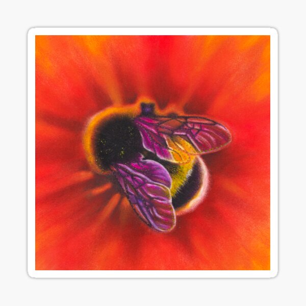 Big Bumblebee on a Dark Red Flower | Wildlife Art | Nature Sticker