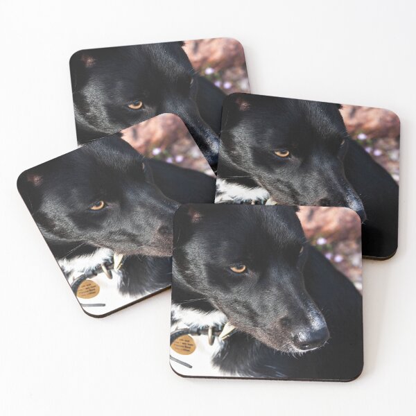 Item preview, black and white dog designed and sold by Francespoppy.