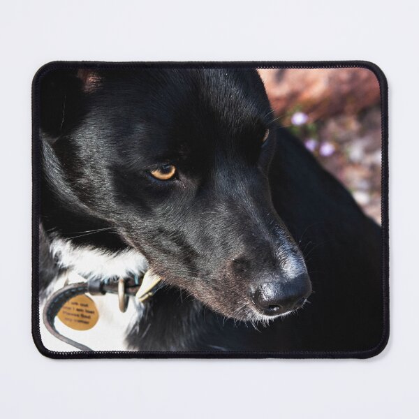 Item preview, black and white dog designed and sold by Francespoppy.