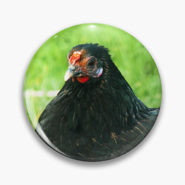 Item preview, black chicken designed and sold by Francespoppy.