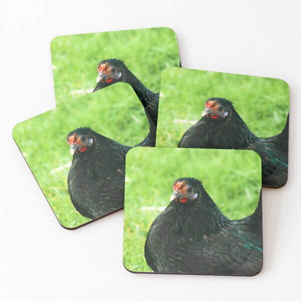 Item preview, black chicken designed and sold by Francespoppy.