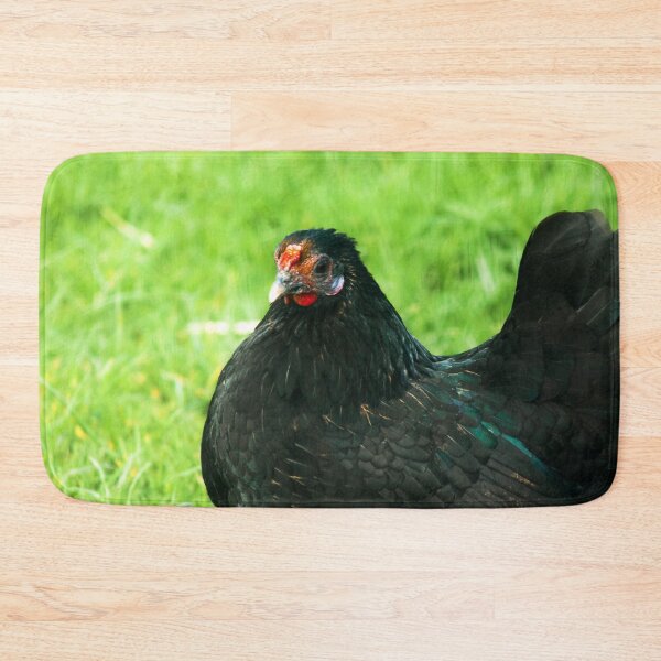 Item preview, black chicken designed and sold by Francespoppy.