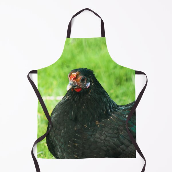 Item preview, black chicken designed and sold by Francespoppy.